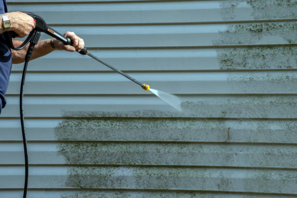 Best Pool Deck Cleaning  in Seville, FL